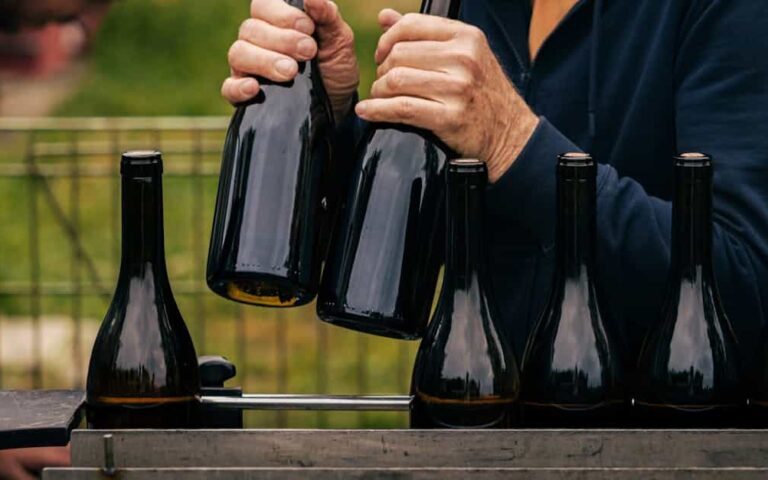 découvrez les causes et les impacts du déclin de la production de vin, ainsi que les défis auxquels est confrontée l'industrie viticole aujourd'hui.