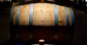 découvrez l'art de la vinification : techniques, conseils et astuces pour produire des vins de qualité chez vous.