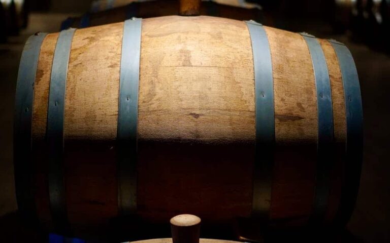 découvrez l'art de la vinification : techniques, conseils et astuces pour produire des vins de qualité chez vous.