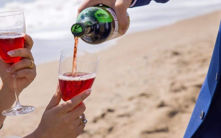 découvrez notre sélection de vins sans alcool, alliant plaisir et convivialité pour toutes vos occasions, sans compromis sur le goût.