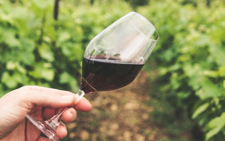 découvrez l'œnologie, l'art et la science qui étudient le vin, de la vigne à la dégustation, pour mieux comprendre et apprécier chaque bouteille.