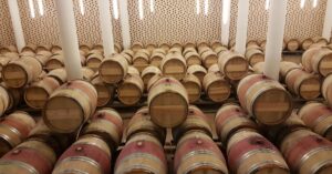 découvrez saint-émilion, célèbre village viticole en bordeaux, réputé pour ses vins d'exception, son patrimoine médiéval et ses paysages pittoresques.