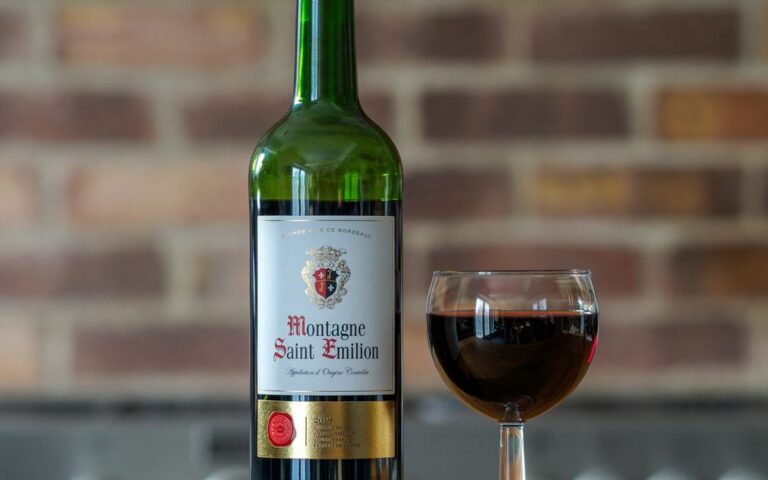 découvrez les vins saint-julien 2025, une sélection d'excellents crus alliant tradition et finesse, parfaits pour les amateurs de vins d'exception.