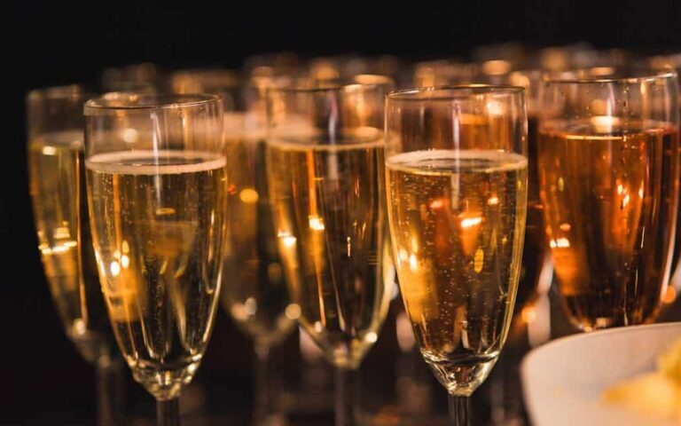 découvrez notre événement autour du vin, une expérience unique pour les amateurs et les connaisseurs, avec dégustations, rencontres et découvertes œnologiques.