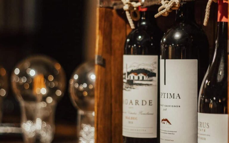 découvrez notre collection unique d'étiquettes de vin, alliant design élégant et information détaillée pour sublimer vos bouteilles.