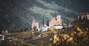 découvrez les vins d'alpine, alliant fraîcheur montagnarde et terroir unique pour des saveurs authentiques.
