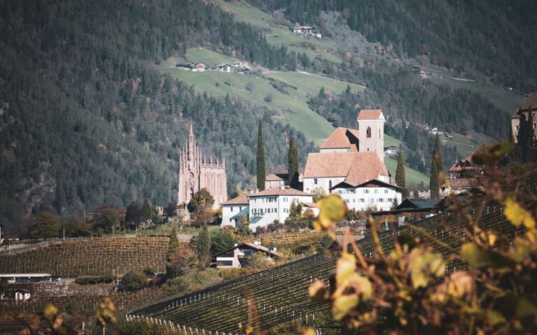 découvrez les vins d'alpine, alliant fraîcheur montagnarde et terroir unique pour des saveurs authentiques.