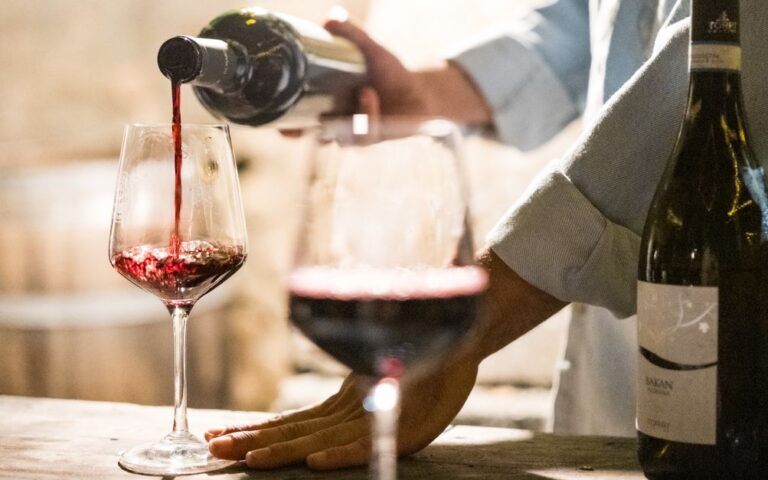 découvrez les vins apuliens, riches en saveurs et en histoire, issus des vignobles ensoleillés des pouilles en italie.