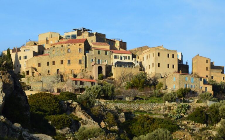 découvrez les vins corses, riches en saveurs authentiques et élaborés sur l'île de beauté. explorez une sélection unique de cépages et terroirs méditerranéens.