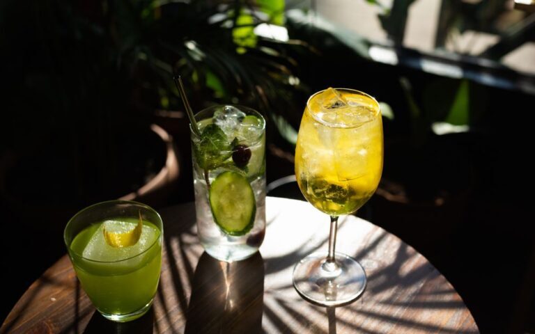 découvrez des recettes innovantes de cocktails à base de vin pour sublimer vos apéritifs et soirées. faciles à préparer et délicieux, nos wine cocktails raviront vos invités.