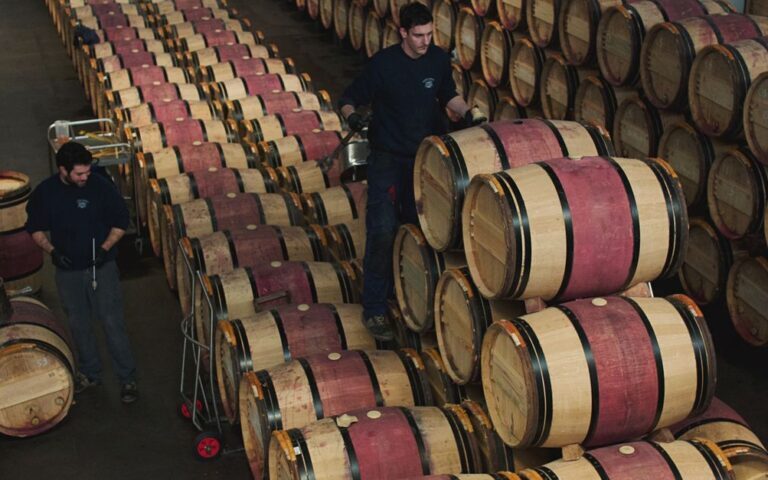 découvrez tout sur le commerce du vin, des échanges internationaux aux tendances du marché, pour les professionnels et amateurs passionnés.