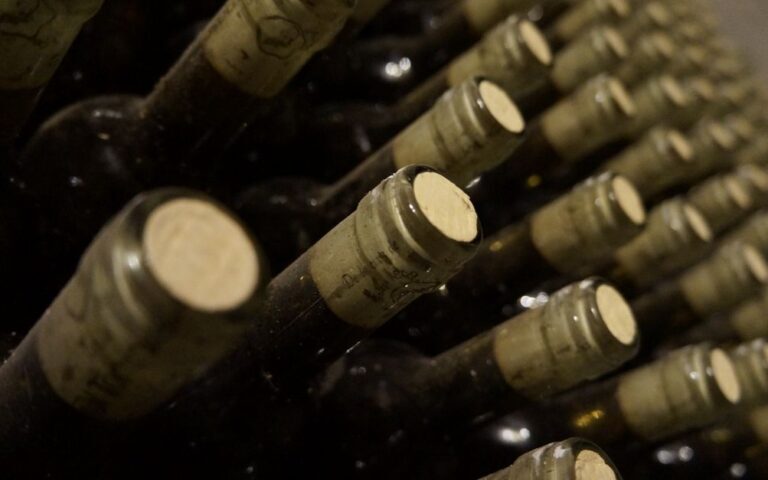 découvrez le métier de winemaker : expert passionné qui crée des vins d'exception en alliant savoir-faire traditionnel et techniques modernes de vinification.