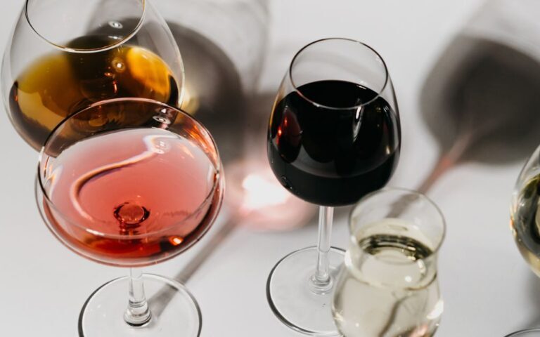 découvrez le taux d'alcool dans le vin, ses variétés et comment il impacte la dégustation et la conservation.
