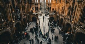 découvrez notre museum : un lieu où l'histoire, l'art et la culture prennent vie à travers des expositions fascinantes et des collections uniques.