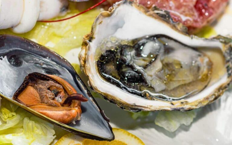 découvrez nos recettes savoureuses à base de moules fraîches, parfaites pour un repas convivial et gourmand.