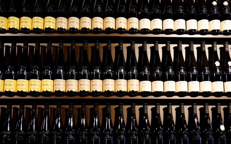 découvrez notre sélection de vins biologiques alliant qualité, saveurs authentiques et respect de l'environnement pour une dégustation saine et naturelle.