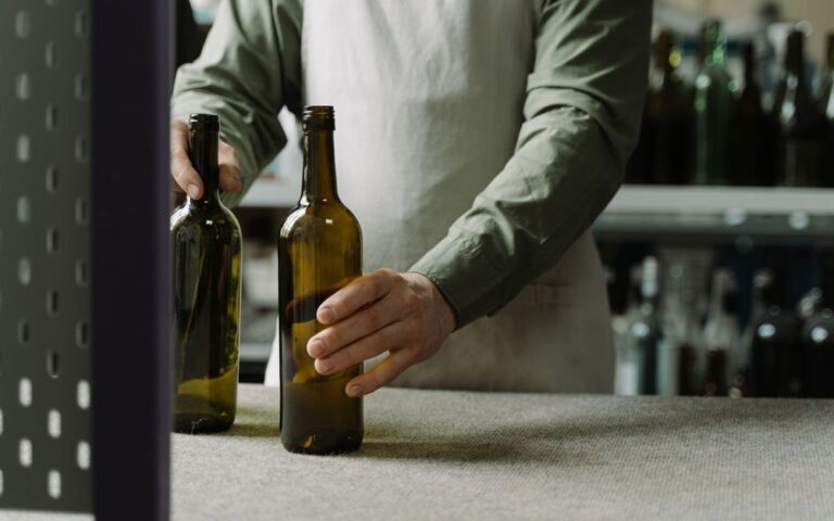 bouteille de vin réutilisable : choisissez une solution écologique et économique pour savourer vos meilleurs crus tout en réduisant les déchets.