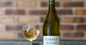 découvrez les vins de savoie, une région française réputée pour ses crus authentiques et ses saveurs uniques alliant tradition et terroir montagnard.