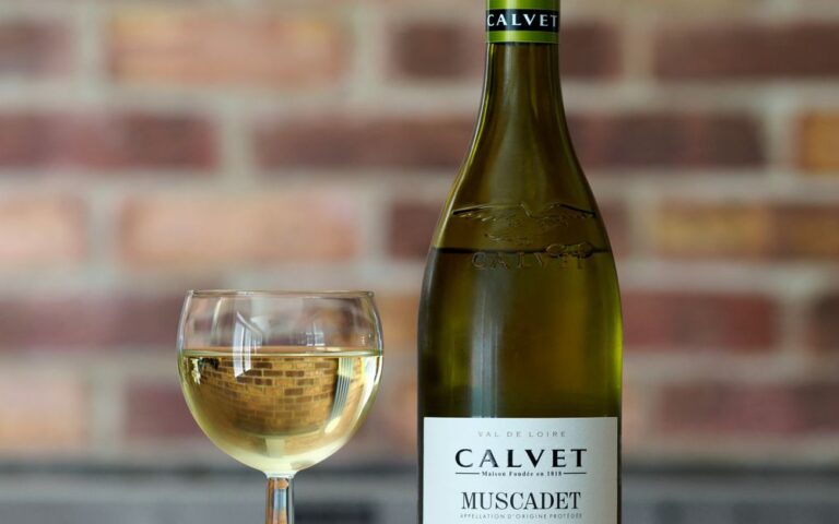 découvrez les vins de savoie, une région française réputée pour ses crus authentiques et ses saveurs uniques alliant tradition et terroir montagnard.