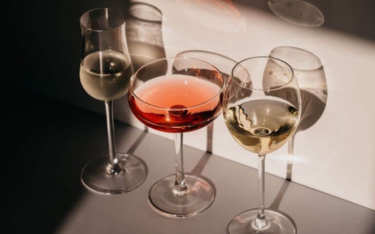 découvrez l'univers fascinant du vin : dégustation, types de cépages, accords mets et vins, et conseils pour choisir la bouteille parfaite.
