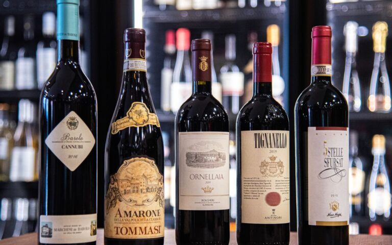 découvrez l'univers du vin : conseils, dégustations, et sélection des meilleurs crus pour tous les amateurs et connaisseurs.