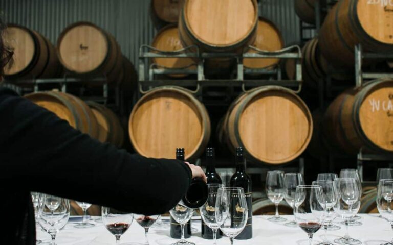 découvrez notre cave à vin, l'endroit idéal pour conserver et faire vieillir vos bouteilles dans des conditions optimales.