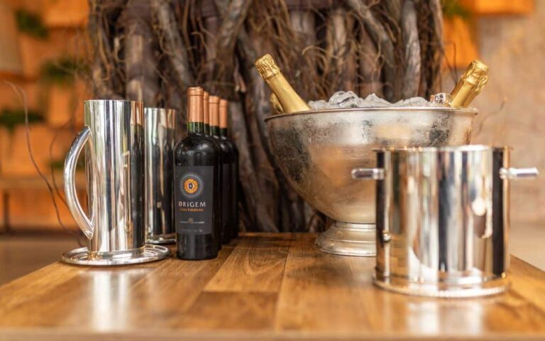 découvrez les meilleures pratiques pour servir le vin, du choix du verre à la température idéale, afin de sublimer chaque dégustation.