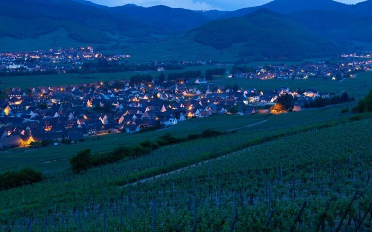 découvrez les vins d'alsace, une région réputée pour ses cépages uniques et ses saveurs authentiques. explorez une sélection de crus d'exception, parfaits pour tous les amateurs de vin.