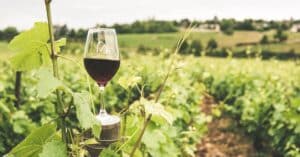 découvrez les vins d'apremont, une appellation savoyarde réputée pour ses vins blancs frais et fruités, parfaits pour accompagner vos repas.