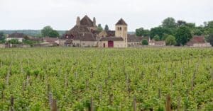 découvrez le vin blanc de bourgogne, réputé pour sa finesse et ses arômes délicats. explorez ses appellations, ses cépages et ses accords mets-vins.