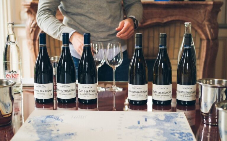 découvrez l'univers des amateurs de vin français : conseils, dégustations, et sélections des meilleurs crus pour passionnés et néophytes.