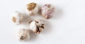 découvrez les bienfaits de l'ail, un ingrédient naturel aux multiples vertus pour la santé et la cuisine.
