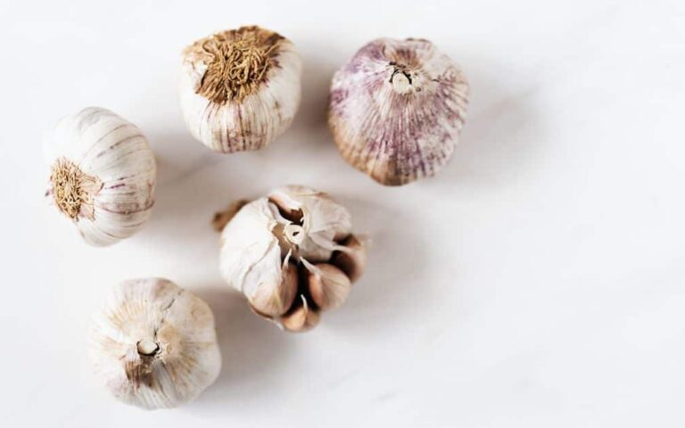 découvrez les bienfaits de l'ail, un ingrédient naturel aux multiples vertus pour la santé et la cuisine.