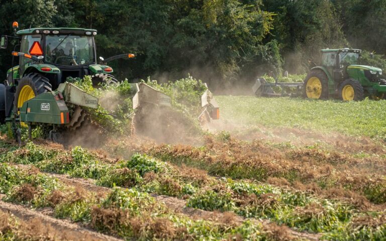 découvrez tout ce qu'il faut savoir sur la récolte : techniques, saisons et astuces pour un bon rendement agricole.