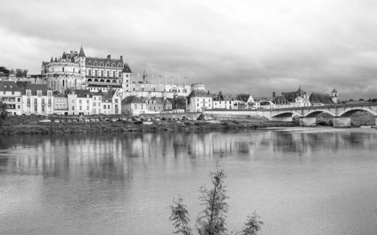 découvrez les vins blancs de la loire, réputés pour leur fraîcheur, leurs arômes fruités et leur élégance unique. parfaits pour accompagner vos repas et moments de convivialité.
