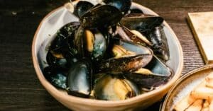 découvrez tout sur les moules : recettes savoureuses, conseils de préparation et bienfaits pour la santé.