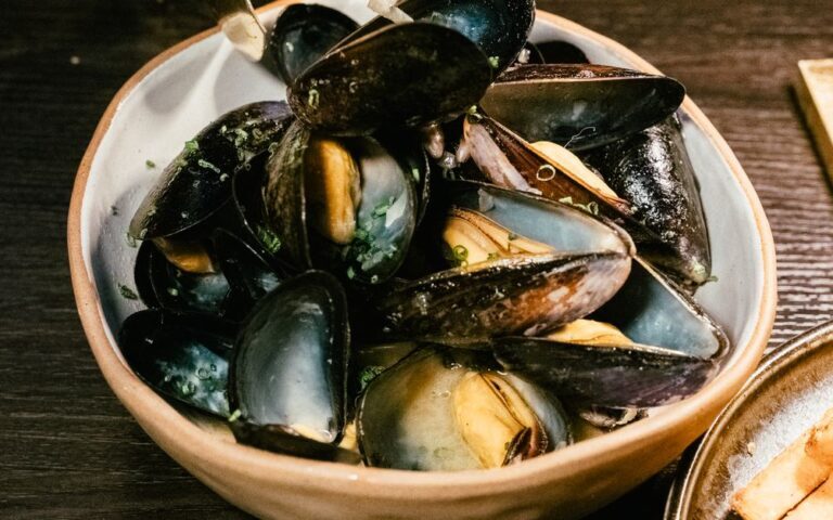 découvrez tout sur les moules : recettes savoureuses, conseils de préparation et bienfaits pour la santé.