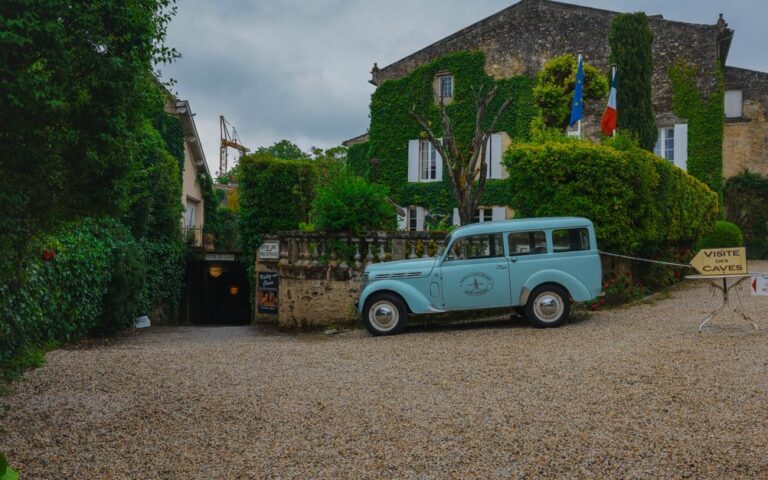 découvrez le vin rouge de saint-émilion, un vin d'exception aux arômes riches et à la texture élégante, idéal pour accompagner vos repas raffinés.