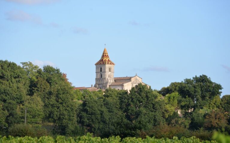 découvrez les vins raffinés de saint-émilion, une région viticole prestigieuse réputée pour ses crus classés et ses saveurs uniques.