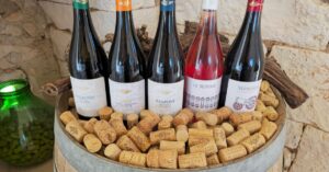 découvrez l'art de la dégustation de vin : explorez différentes saveurs, arômes et cépages pour enrichir votre expérience œnologique.
