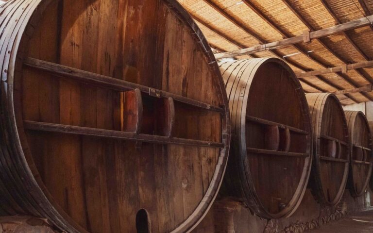 découvrez l'évolution des vignobles à travers le temps, de la tradition à l'innovation, et suivez les dernières tendances de l'industrie viticole.
