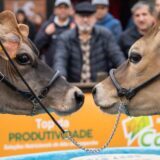 découvrez les salons agricoles : innovations, équipements, élevage et rencontres pour les professionnels du secteur.