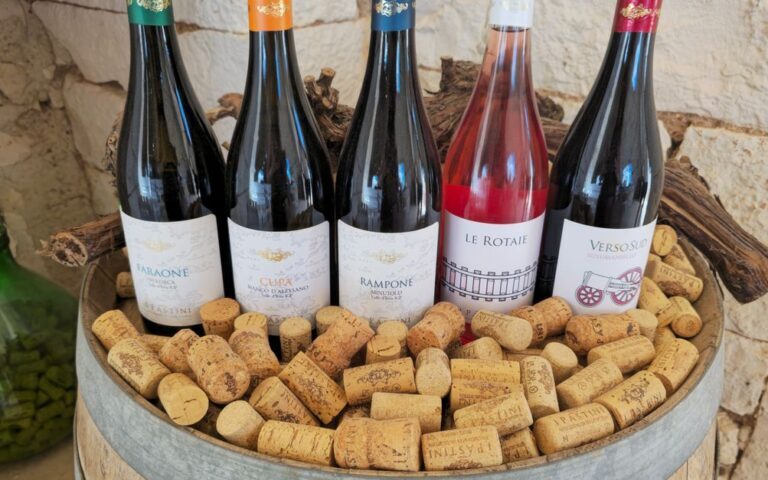 découvrez notre sélection de bouteilles de vin en cl et trouvez le format idéal pour chaque occasion.