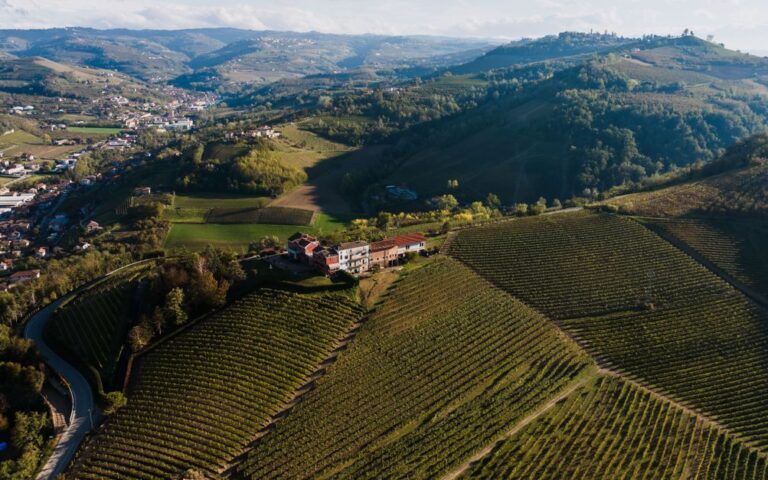 découvrez le vignoble européen de l’année 2027 : une distinction qui célèbre l’excellence viticole, les terroirs remarquables et le savoir-faire des producteurs.