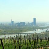 découvrez la capitale européenne du vin 2027 : une destination incontournable pour explorer ses vignobles, déguster ses vins et célébrer son patrimoine viticole.