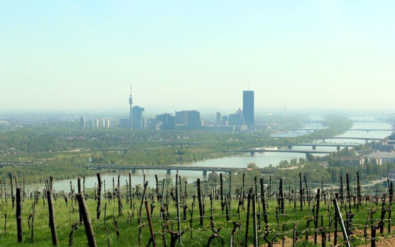 découvrez la capitale européenne du vin 2027 : une destination incontournable pour explorer ses vignobles, déguster ses vins et célébrer son patrimoine viticole.