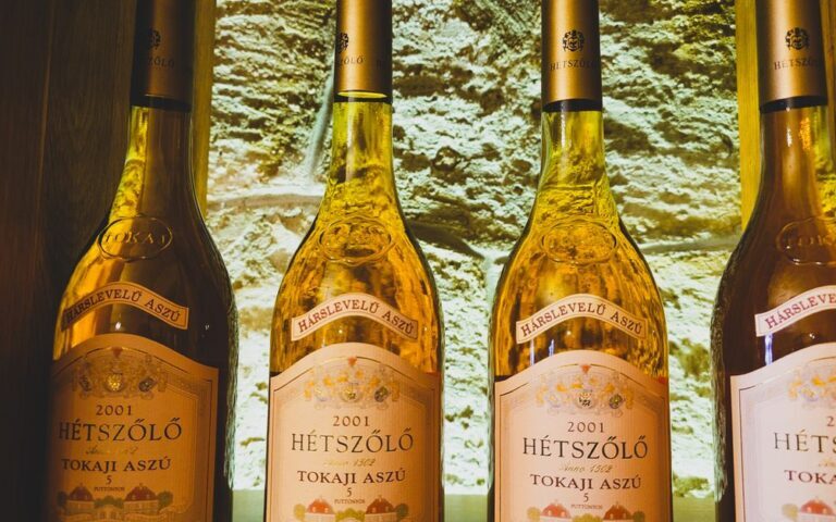 découvrez un vin médaillé à moins de 10 € : une belle occasion de savourer un vin récompensé sans dépasser votre budget.