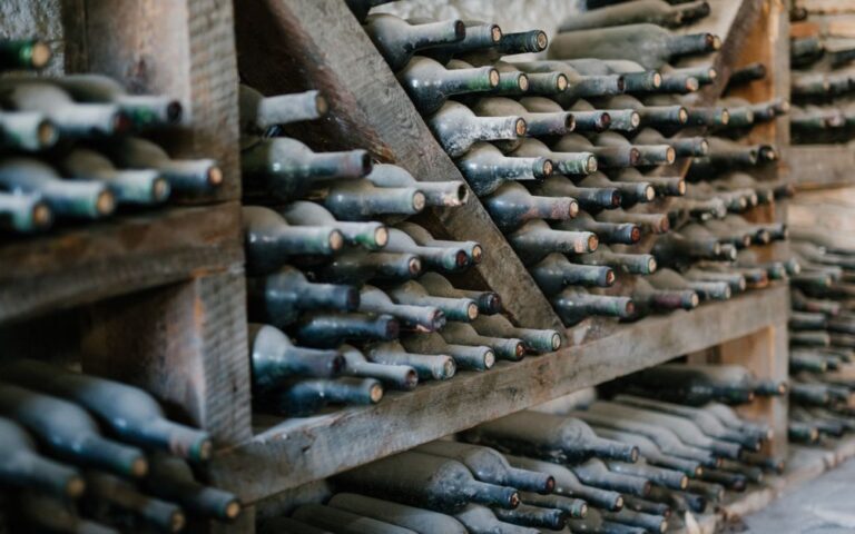 découvrez l’industrie viticole tibétaine, ses vignobles d’altitude, ses méthodes de production et les défis qui façonnent son développement.