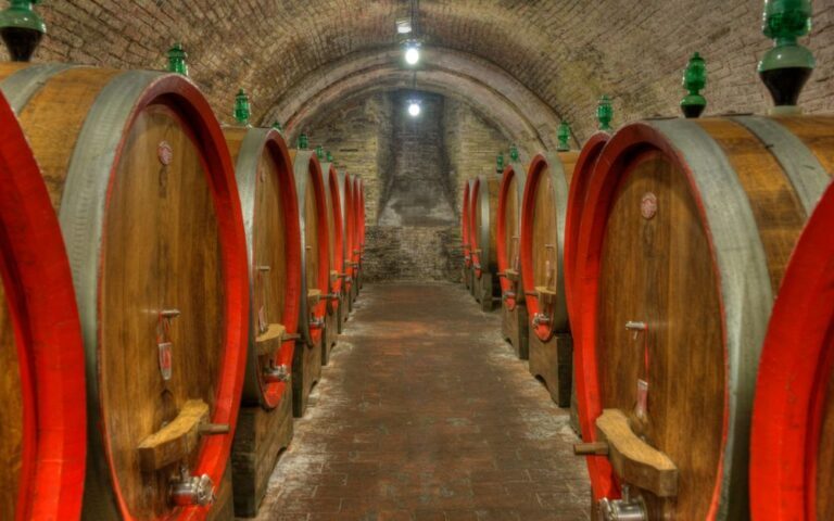 découvrez les tonneaux de vin, leur fabrication et leur rôle dans l’élevage des grands crus.