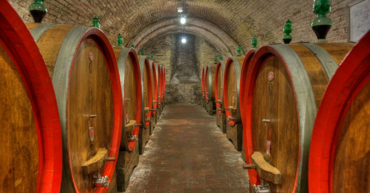 découvrez les tonneaux de vin, leur fabrication et leur rôle dans l’élevage des grands crus.